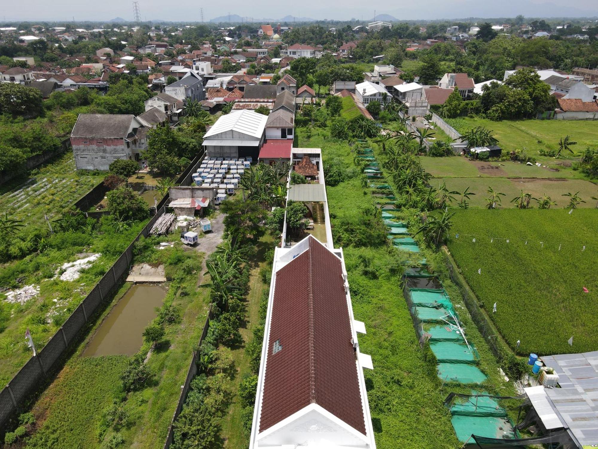 Villa Rumah Putih Jogja Yogyakarta Eksteriør billede